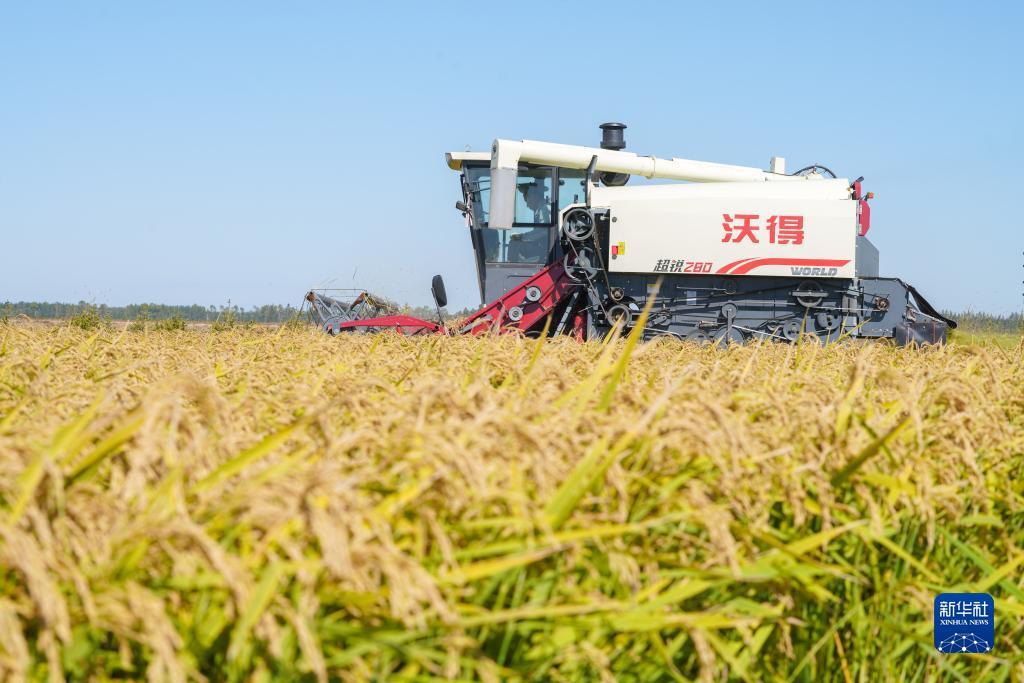 大发游戏